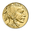 Złota Moneta Amerykański Bizon 1 uncja, 2025