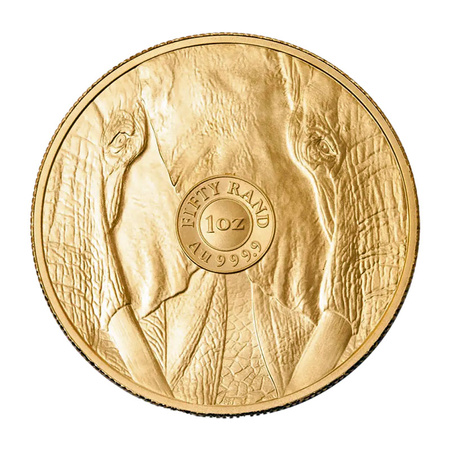 Złota Moneta Słoń Wielka Piątka Afryki 2025