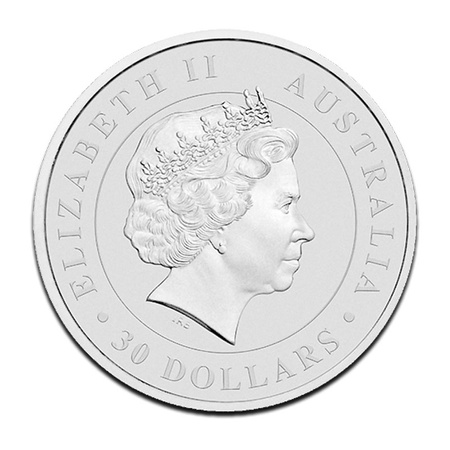 Srebrna moneta Koala 1000g (roczniki losowe)