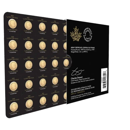 Złota Moneta Liść Klonowy 25 x 1g MapleGram 2025