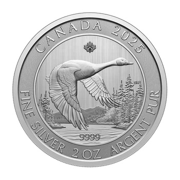 Srebrna Moneta Kanadyjska Gęś 2 oz 2025