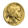 Złota Moneta Amerykański Bizon 1 uncja, 2026