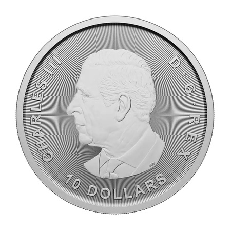 Srebrna Moneta Kanadyjska Gęś 2 oz 2025