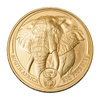 Złota Moneta Słoń Wielka Piątka Afryki 2025