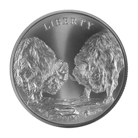 Srebrny medal Liberty 1 uncja