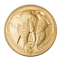 Złota Moneta Słoń Wielka Piątka Afryki 2025